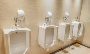 Executive Toilet